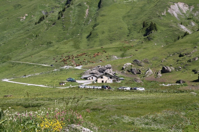 Le QG de Plan Pichu, la laiterie de l'alpage, et un des troupeaux